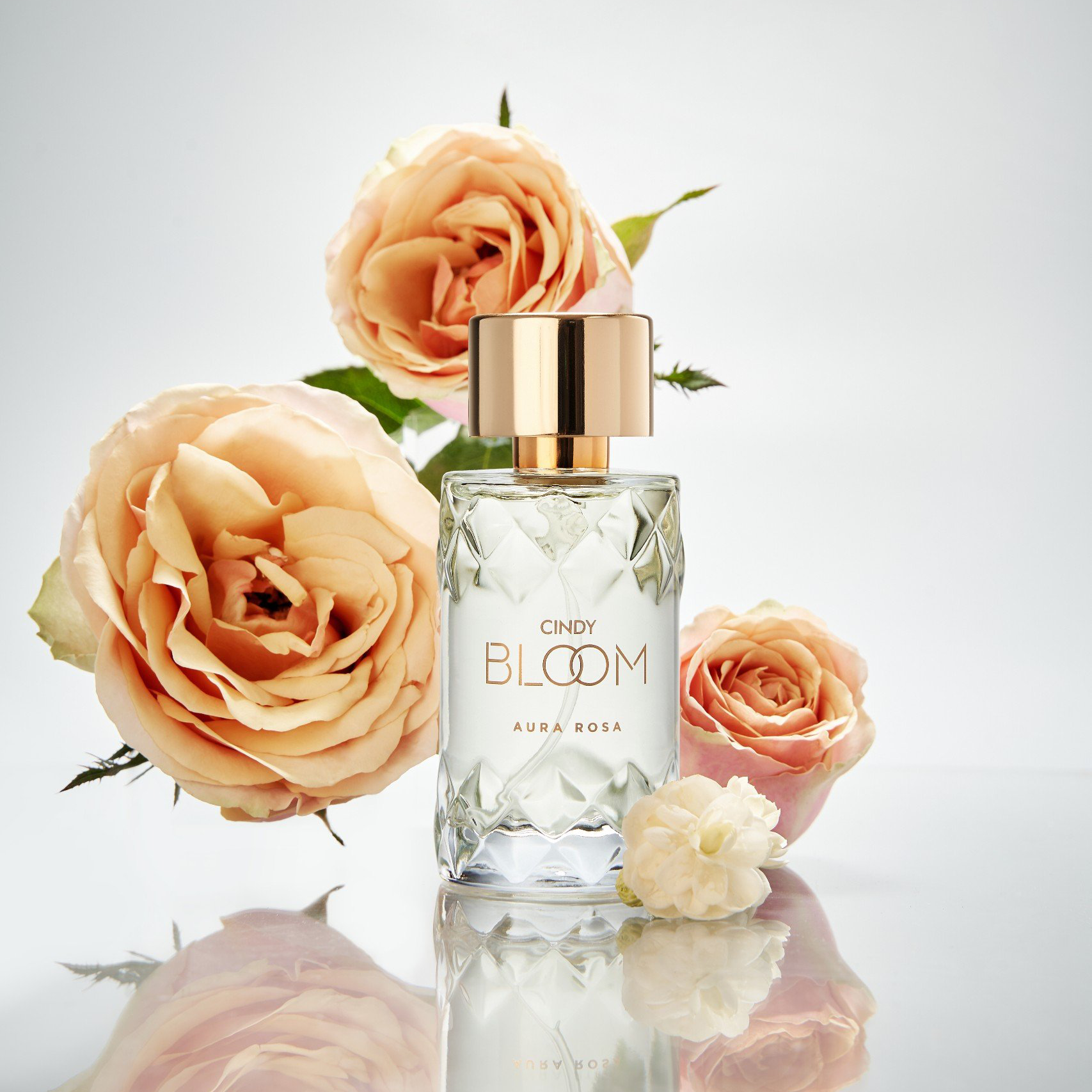 Cindy Bloom perfume - Aura Rosa